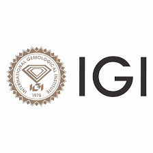 International Gemmological Institute (India) Limited logo