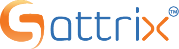 Sattrix Information Security Limited logo