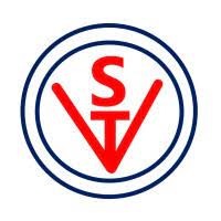 Vibhor Steel Tubes Limited logo
