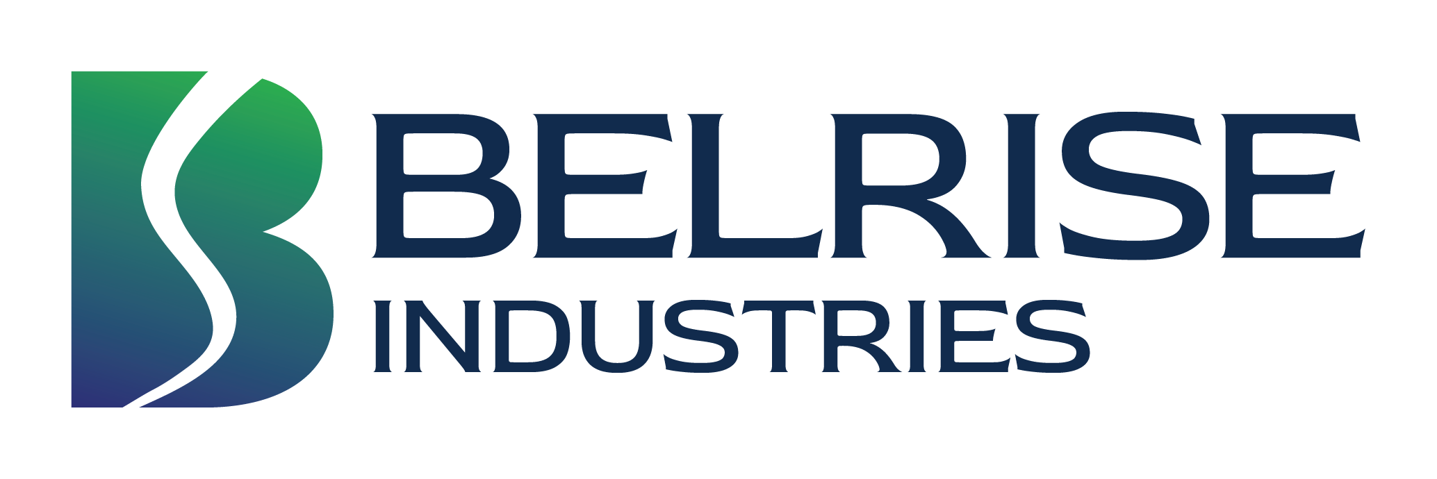 Belrise Industries Limited  logo
