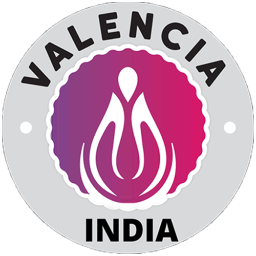 Valencia India Limited logo