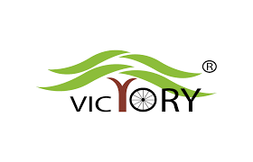 Victory Electric Vehicles International logo
